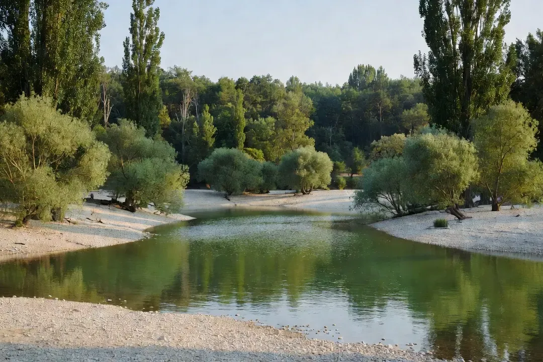 Bras mort de la rivière Drôme bordé de forêt alluviale dans la réserve naturelle des Ramières