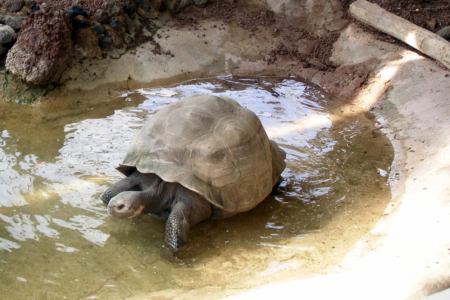 Ferme aux Crocodiles de Pierrelatte